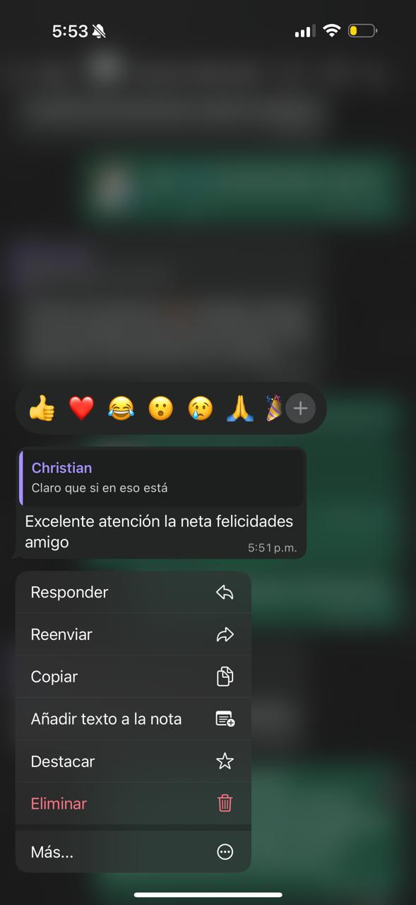 Testimonio de cliente TenisLoop